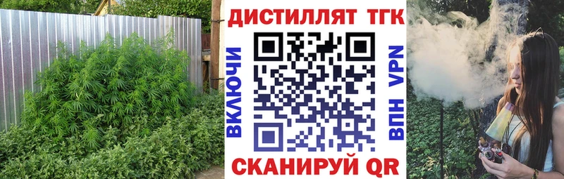 MEGA ссылки  Камешково  Дистиллят ТГК вейп 