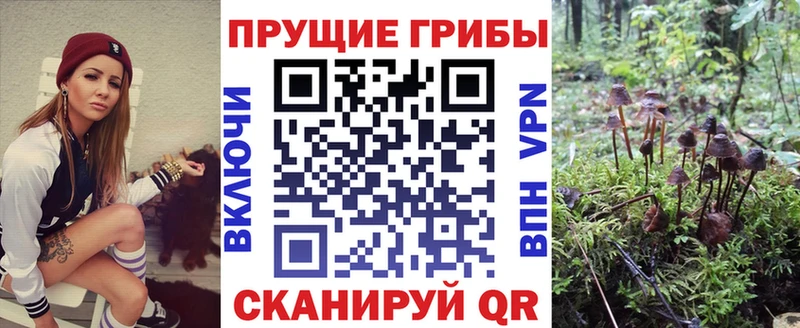 Псилоцибиновые грибы ЛСД где можно купить наркотик гидра сайт Камешково